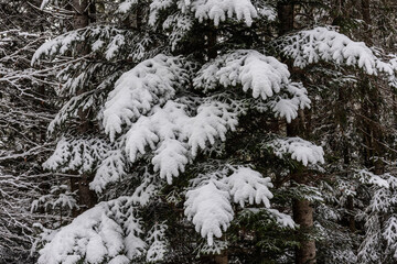 First snow in the mountains