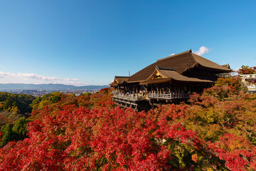 Landscape view of Kiyomizu-dera Temple(Higashiyama) With Maple Red in Kyoto, Japan in autumn...