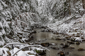 First snow in the mountains