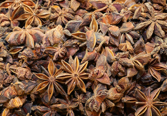 background of stars of ANISE Star for dishes or to Christmas decorations