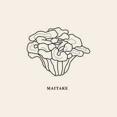 Line art maitake mushroom illustration