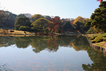 Obraz premium 秋の六義園。池と紅葉の森。