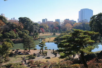 秋の六義園。日本庭園と高層ビル。