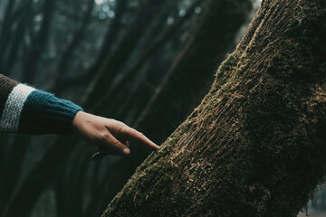 Close up of human man finger hand touching with care a green musk tree trunk in outdoor forest...