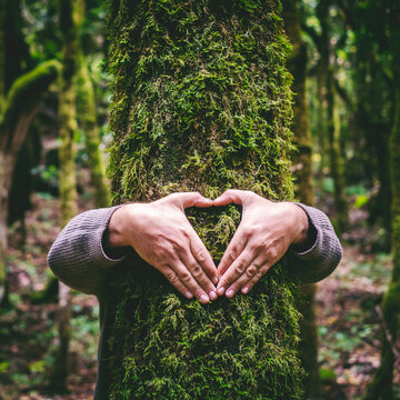 One man hugging a green tree trunk doing heart gesture with hands. People and love respect for nature forest and environment lifestyle. Environmentalist embrace trunk with musk. Stop climate change