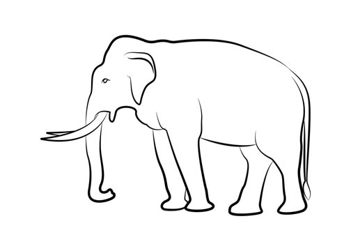 Elephant black outline illustration on isolated background.