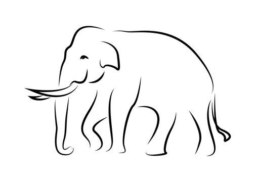 Black line drawing of an elephant on a white background isolated.