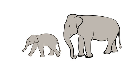 Mother and baby elephant line drawing on isolated background. vector illustration