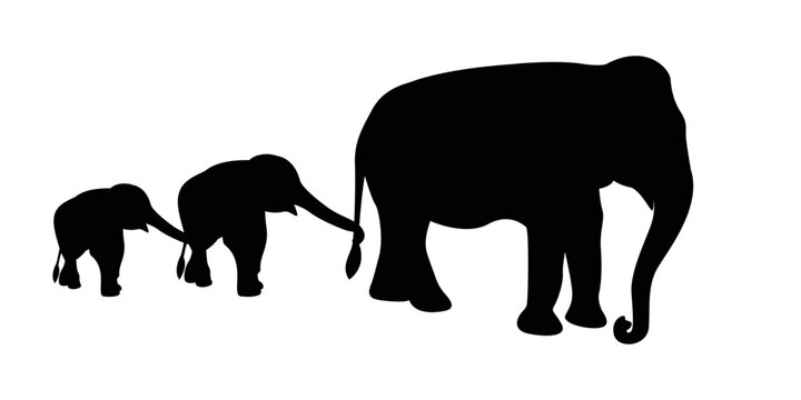 silhouette of an elephant with a baby elephant-vector illustration