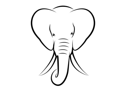 Elephant head line drawing on isolated background for logo. vector illustration