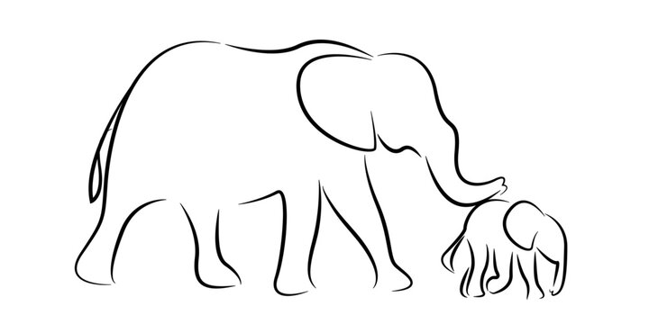 Mother and baby elephant line drawing on isolated background. vector illustration