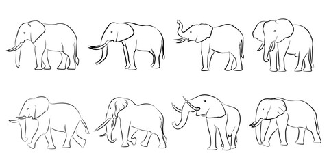 Set black line drawings of elephants on isolated white background.