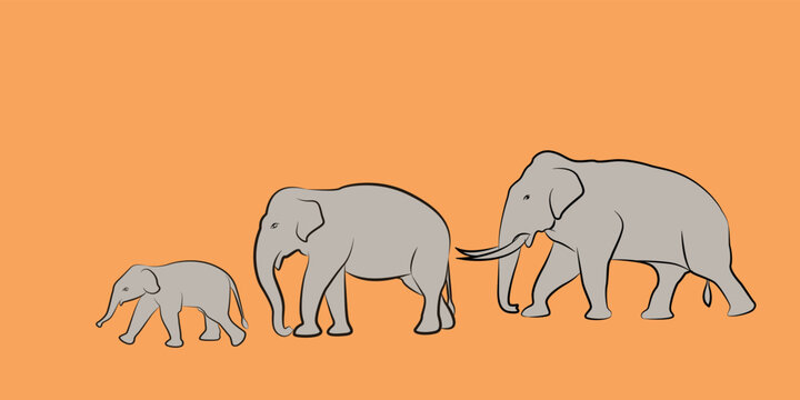 Family silhouette of Asian elephant walking, vector graphic design illustration isolated on color background.