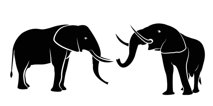 Black line drawing of two elephants facing each other. on white background isolated