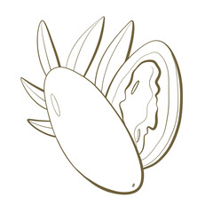 outline sketch line simple design element berries edible exotic african dacriodes trees on white background for printing packaging food and cosmetics logo