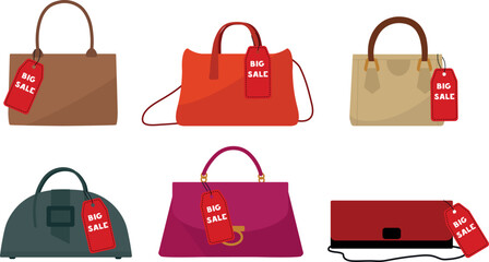 A set of ladies handbags. Vector illustration of sale and discounts. Fashion store, shopping