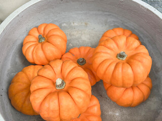 closeup raw mini pumpkins