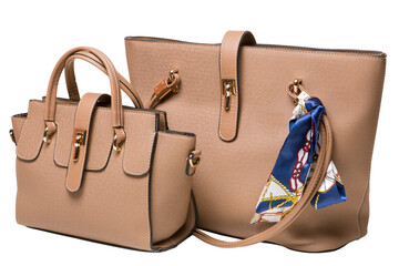 A set of two women's brown handbags, large and small, with handles and a clasp, isolate