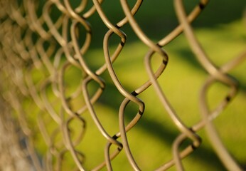 Closeup of a rabitz fence curved wire ends. The texture of the metal mesh. Soft focus. Green grass behind Rabitz wire mesh. 