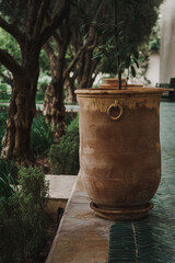 The Secret Garden in Marrakech, Morocco. Copy space available