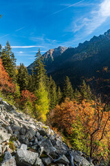 Fototapeta na wymiar Autumn in Tatra mountains in Slovakia