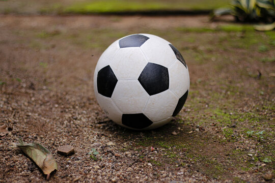 photo taken during the day. photo of a ball on sandy ground.