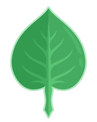 Flat vector art with green geometric leaf shape
