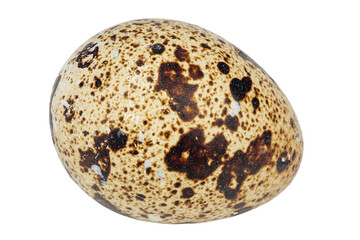 Quail egg isolated on white background.
