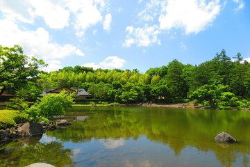 昭和記念公園内の日本庭園の池と木々の風景11