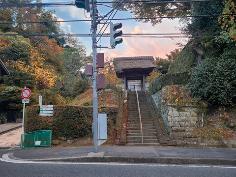 gate