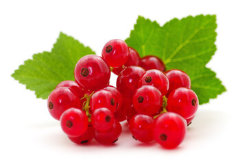 Red currants with green leaves.