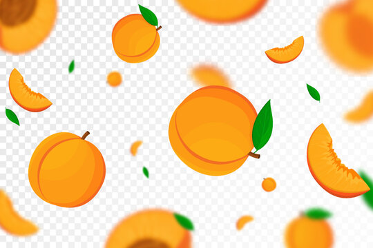 Falling juicy ripe peach fruit, isolated on transparent background. Flying whole and slices of peach with blur effect. Can be used for wallpaper, banner, poster, print. Vector flat design