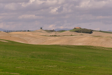 Obraz premium Panorami della Val d'Orcia, provincia di Siena. Toscana Italia