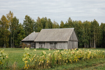 Typical old Latvian barn in the Latvian countryside - obrazy, fototapety, plakaty