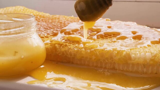 Honey drips from the honey spoon on honeycomb frame. Natural liquid honey flows down from dripper on pieces of bee wax. Fresh apiary products. Producing honey, beekeeping concept