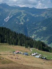 Landscape of rural houses on green hills with forest trees in Haute Savoie, France