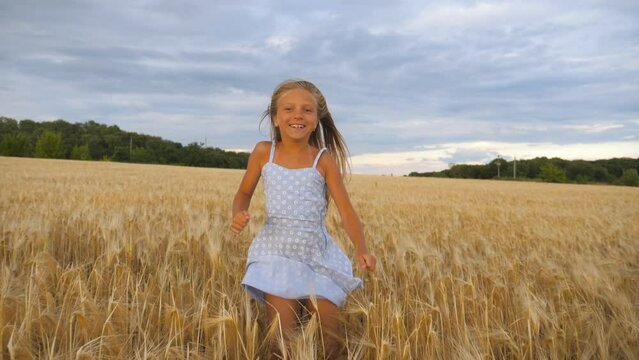Beautiful happy girl with long blonde hair running to the camera through wheat field. Little smiling kid jogging over the meadow of barley. Cute child spending time at golden plantation. Slow motion