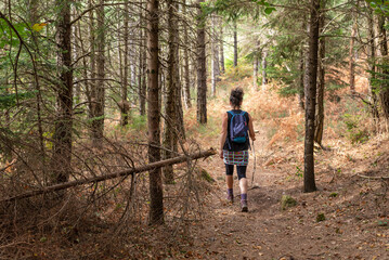 Hiker walking among pine trees. Navarre Pyrenees