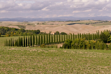 Fototapeta premium Panorama della Val d'Orcia, provincia di Siena. Toscana, Italy