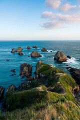 Rauer, felsiger Küstenabschnitt Neuseelands in weichem Licht.