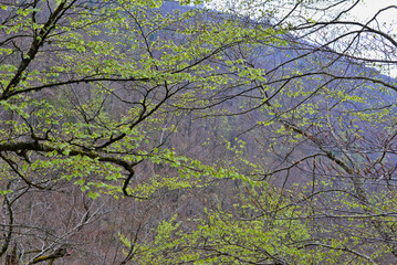 Despertar tras invernar