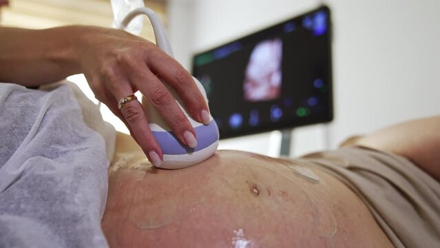 Medic’s hand moving the transducer by the big female belly. Ultrasound check for a pregnant lady at the last stages of baby carrying. Close up.