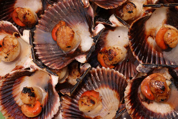 Close-up of grilled Galician scallops