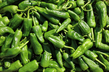 Close-up of Padrón or Guernica peppers with natural light