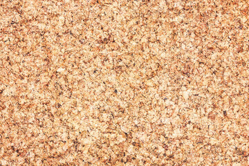 Brown cork board texture. Empty copy space noticeboard for graphic design. Office message background. Memo card bilboard pattern. Reminder board in office. Corkboard space.