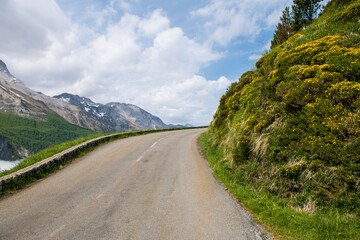 Route de montagne bord&eacute;e de bruy&egrave;re en fleur vers le col d'Aubisque, &agrave; droite de la station de ski de Gourette, Pyr&eacute;n&eacute;es, France