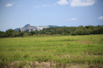 Obraz premium landscape with grass and sky
