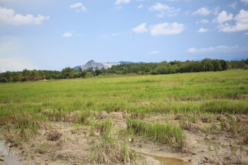 Obraz premium landscape with river and blue sky