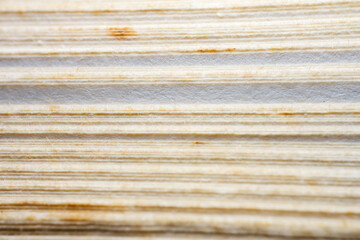 Extreme closeup of an old book from the side