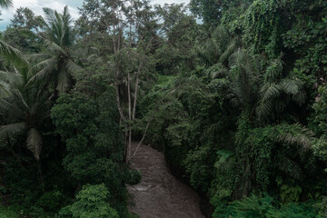 Palm trees and mountain landscape, tropical nature photo.